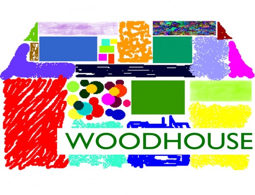 Woodhouse Arts Programme
